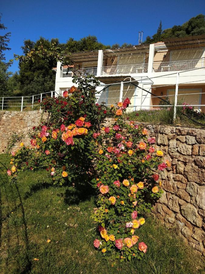 Hotel Theasis Paralia Sergoulas Dış mekan fotoğraf