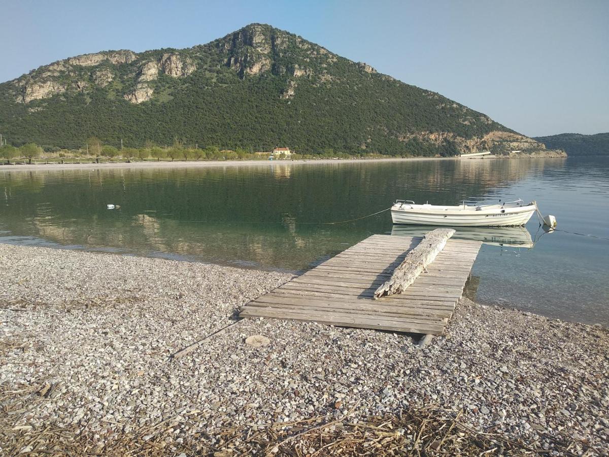 Hotel Theasis Paralia Sergoulas Dış mekan fotoğraf
