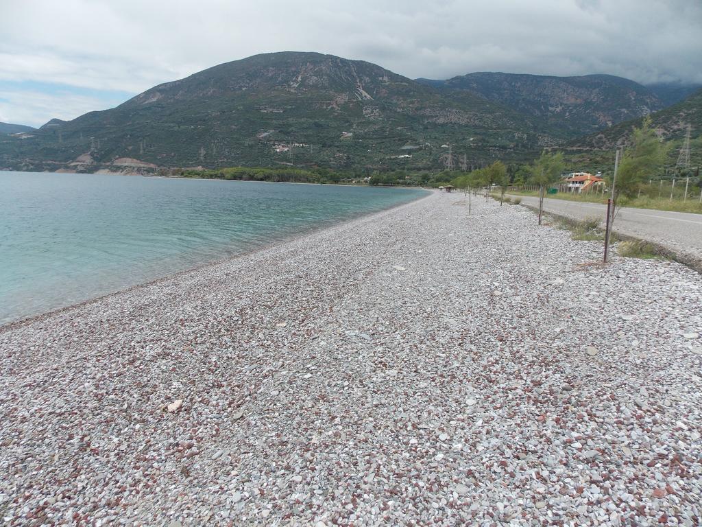 Hotel Theasis Paralia Sergoulas Dış mekan fotoğraf